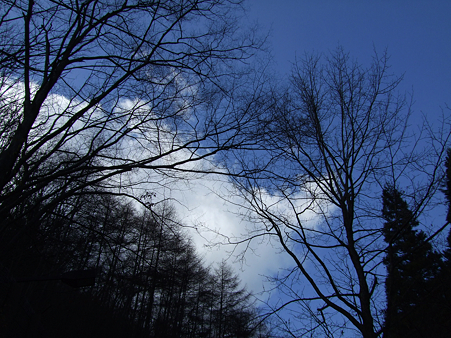 091126_山_1