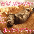 091103-【猫アニメ】文化の日にゃ！