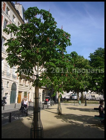 P2700140