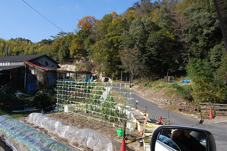 09広島 (55)