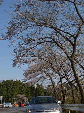 20110417_075530
