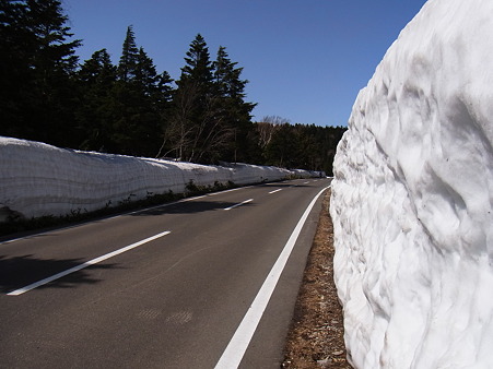 雪の回廊