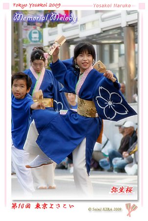 弥生桜 - 第10回 東京よさこい
