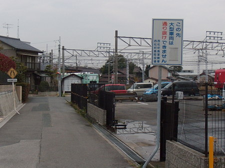 DSCN0781