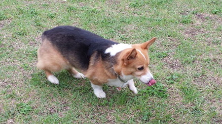20140622_152038