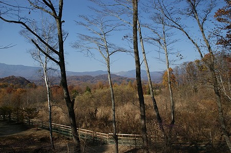 DSC02911