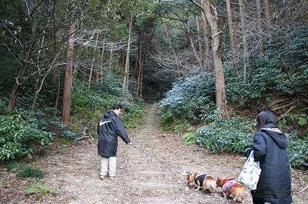 DSC05015