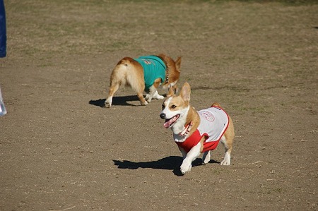 DSC05510