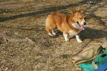 DSC05670