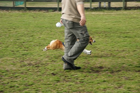 DSC06879