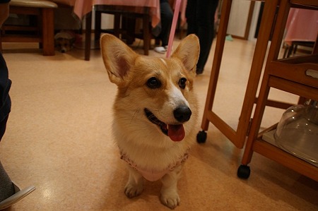 DSC05264