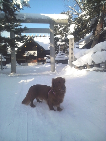 iyon20091222　上川神社前の冬