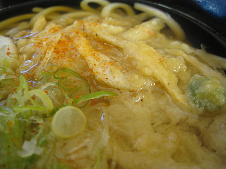 有磯海SA 白えびかきあげうどん