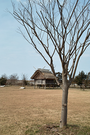Yayoi_Park03042012dp2-01