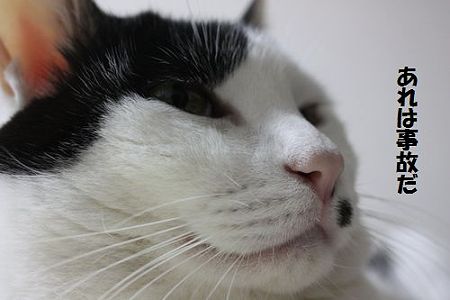 じこ