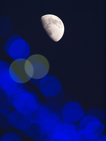 UZOU091226_695