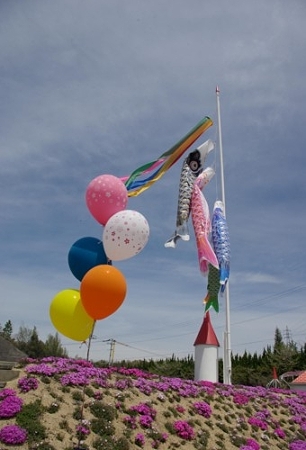 IMGP0063_0415