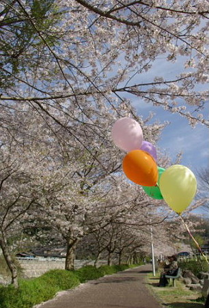 IMGP0053_0415a