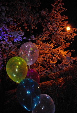 IMGP3209_0418