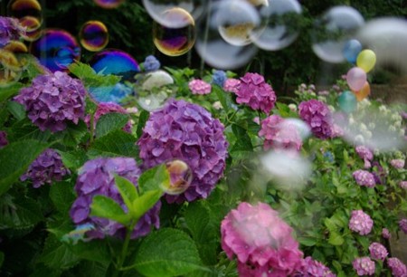 IMGP0086_0617