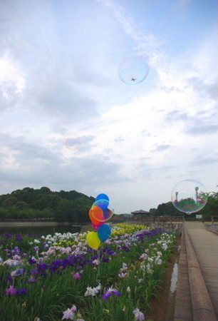 IMGP5263_0617