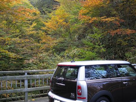 06.紅葉とチョコ丸