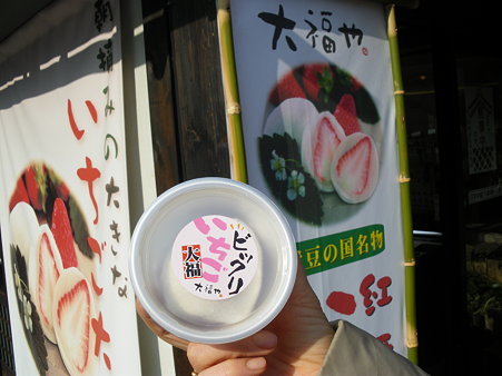 いちごプラザのいちご大福（使用前）