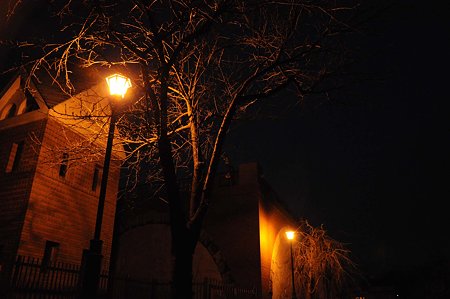 DSC_0281L