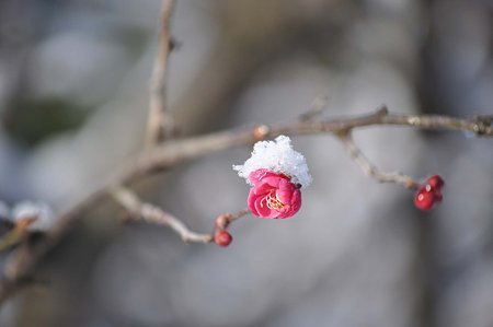 DSC_0713L