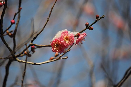 DSC_0820L