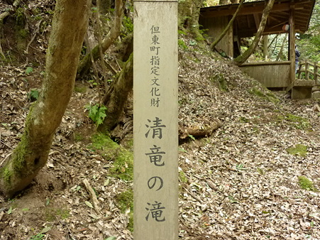 P1010497
