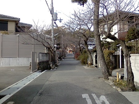 アパート前の神社への道