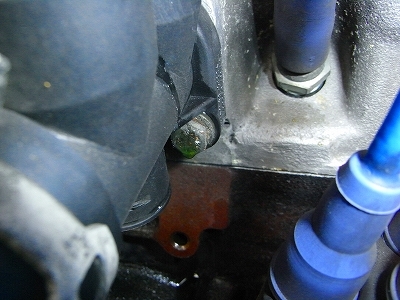RIMG3835