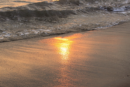 夕陽