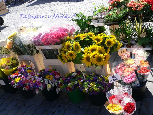 Photos: ヘルシンキの夏のお花たち
