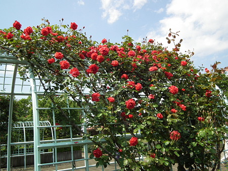 DSCF0270