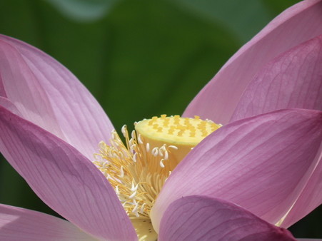 DSCF0036