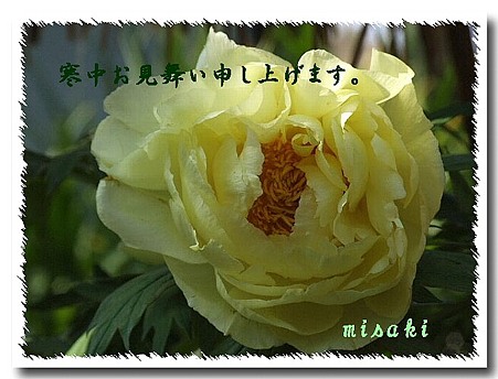 寒中18