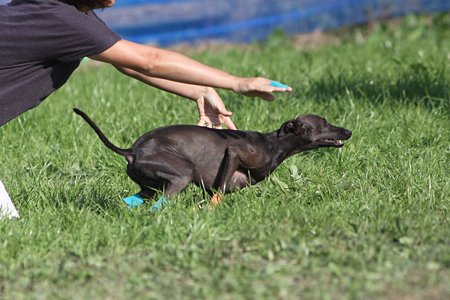 IMG_8403
