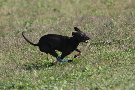 IMG_8420