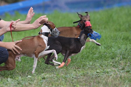 IMG_8510