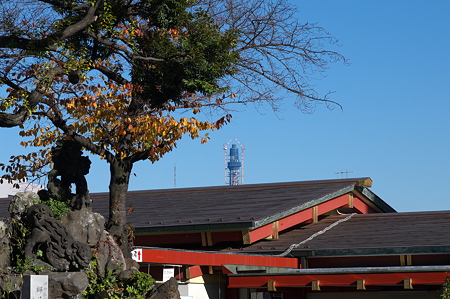 神田神社からのスカイツリー