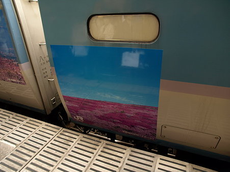189系・ホリデー快速河口湖1号(大月駅)