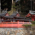 Photos: 桜実神社社殿