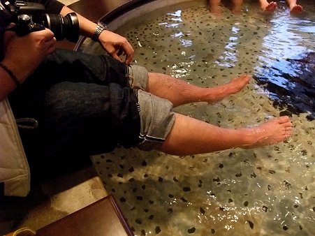 足湯～