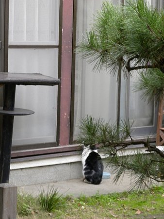セブン_9