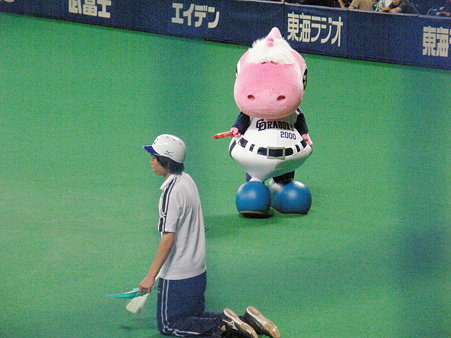 103 パオロンは、ずんずんコッチに向かってきます
