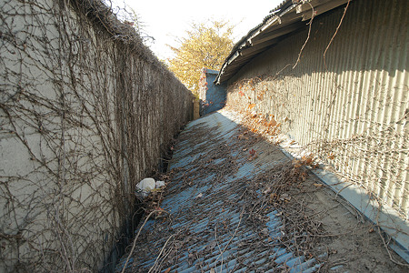 ebisutyo081130001