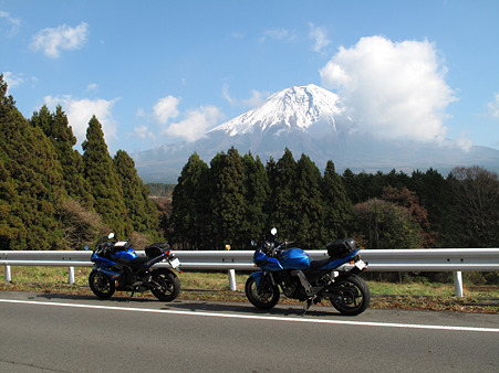 Team Blue