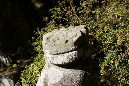 長安寺 狛犬